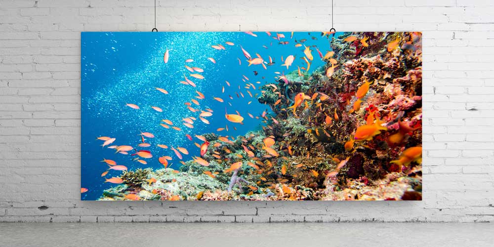 deniz-gun-batimi-ufuk-buyuk-duvar-dekoru 14040