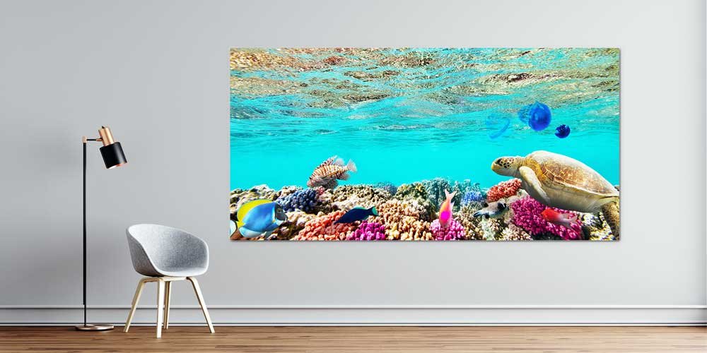 Büyük Ebat Mercan Kayalığı ve Deniz Kaplumbağası Duvar Dekoru 14043
