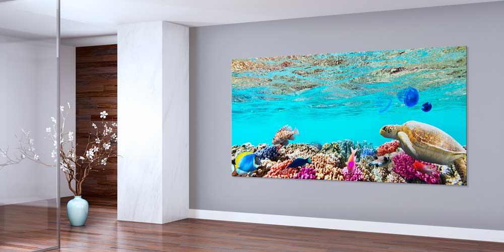 Büyük Ebat Mercan Kayalığı ve Deniz Kaplumbağası Duvar Dekoru 14043