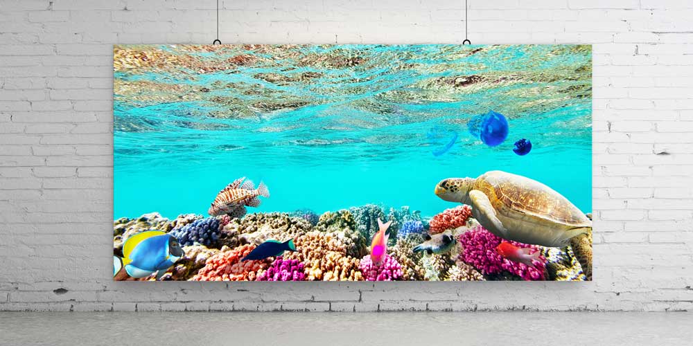 Büyük Ebat Mercan Kayalığı ve Deniz Kaplumbağası Duvar Dekoru 14043