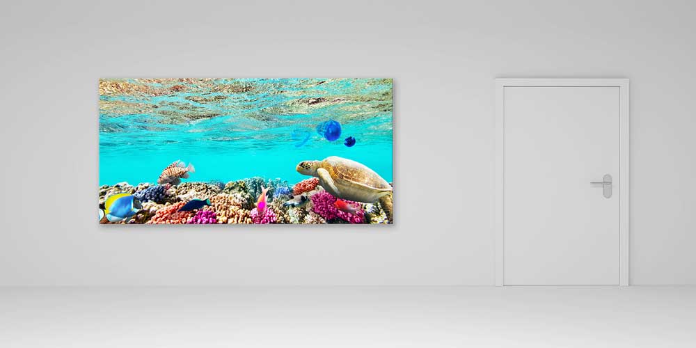 Büyük Ebat Mercan Kayalığı ve Deniz Kaplumbağası Duvar Dekoru 14043