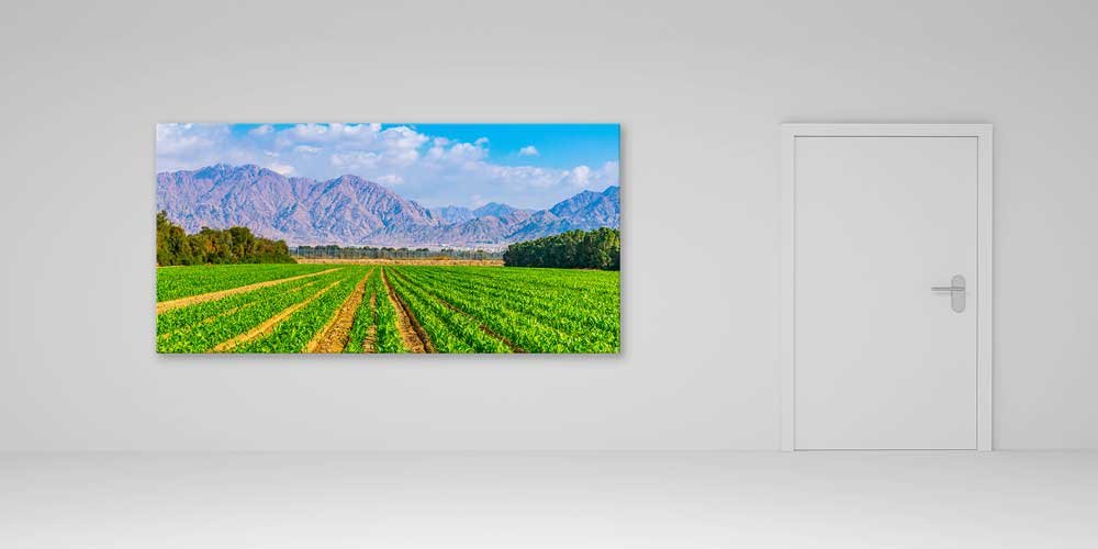 Dağ Manzaralı Tarım Tarlası Büyük Duvar Dekoru 14058