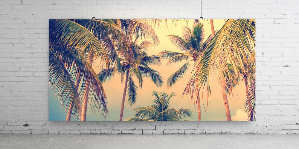 Pastel Gökyüzü Palmiye Ağaçları Tropikal Manzarası Büyük Ebat Duvar Dekor Ürünü 14193