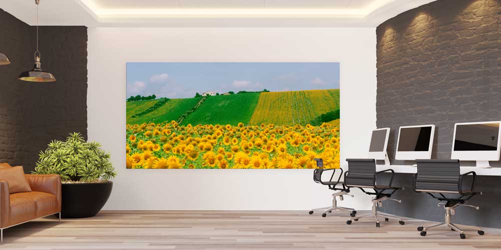 Ayçiçeği Tarlası Panoramik Manzara Büyük Ebat Duvar Dekoru 14197