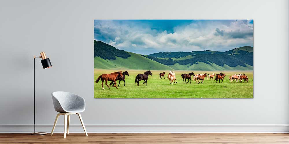 Koşan Atlar Ovalar Panoramik Büyük Ebat Duvar Dekoru 14215
