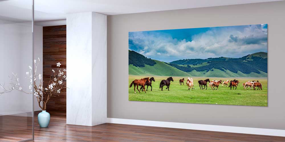 Koşan Atlar Ovalar Panoramik Büyük Ebat Duvar Dekoru 14215