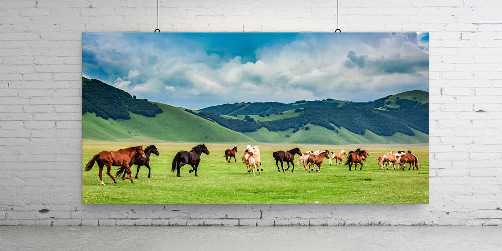 Koşan Atlar Ovalar Panoramik Büyük Ebat Duvar Dekoru 14215
