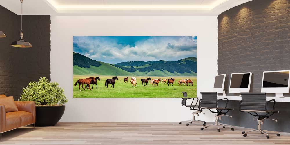 Koşan Atlar Ovalar Panoramik Büyük Ebat Duvar Dekoru 14215