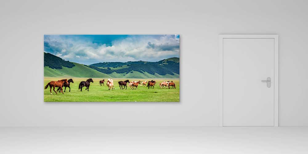 Koşan Atlar Ovalar Panoramik Büyük Ebat Duvar Dekoru 14215