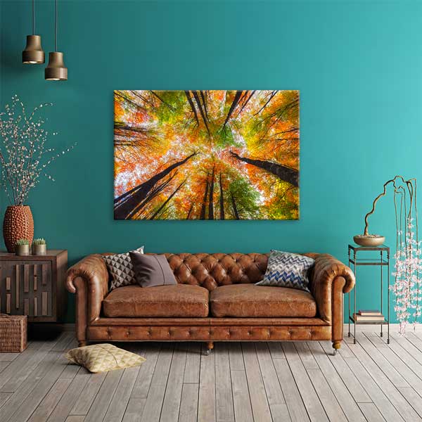 Sonbahar Ormanı Yukarı Bakış Perspektifi Doğa Kanvas Tablo 12115