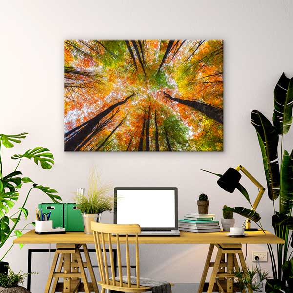 Sonbahar Ormanı Yukarı Bakış Perspektifi Doğa Kanvas Tablo 12115