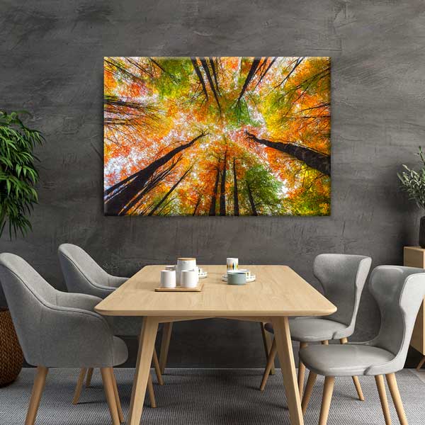 Sonbahar Ormanı Yukarı Bakış Perspektifi Doğa Kanvas Tablo 12115