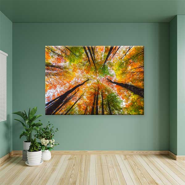 Sonbahar Ormanı Yukarı Bakış Perspektifi Doğa Kanvas Tablo 12115