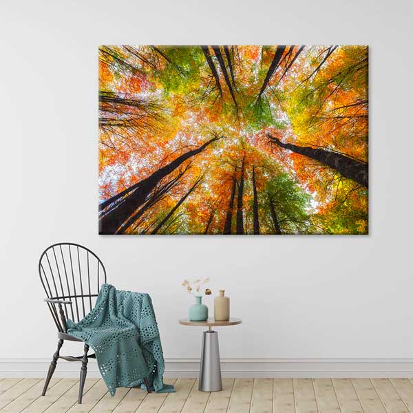 Sonbahar Ormanı Yukarı Bakış Perspektifi Doğa Kanvas Tablo 12115