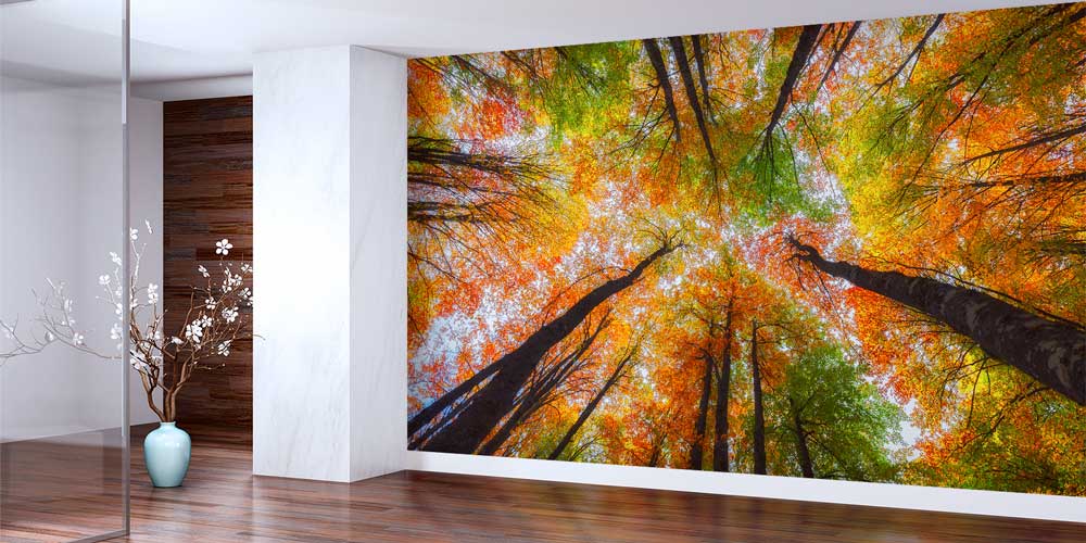 Sonbahar Ormanı Manzaralı Doğa Temalı Duvar Kağıdı ve Duvar Kaplaması 11600