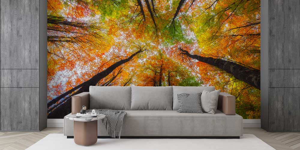 Sonbahar Ormanı Manzaralı Doğa Temalı Duvar Kağıdı ve Duvar Kaplaması 11600