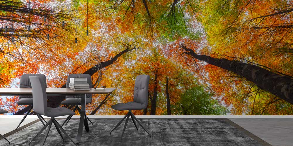Sonbahar Ormanı Manzaralı Doğa Temalı Duvar Kağıdı ve Duvar Kaplaması 11600