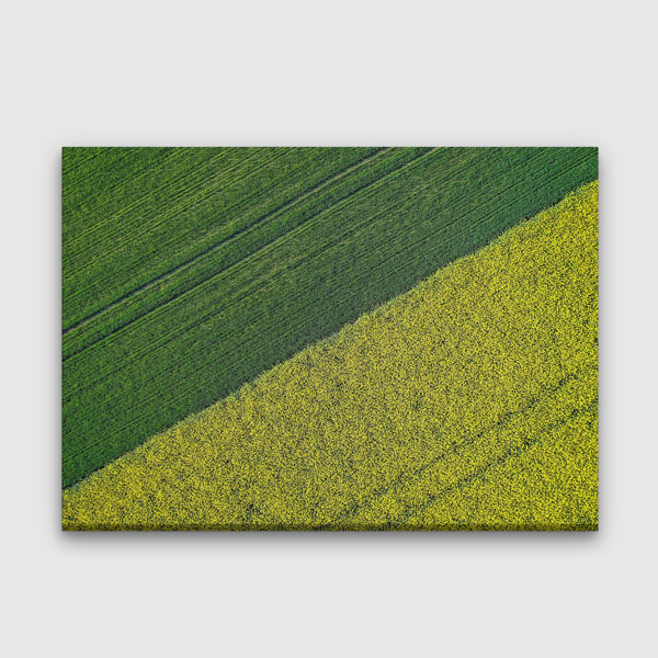 Yeşil ve Sarı Ekili Alan Kontrastı Kanvas Tablo 4691