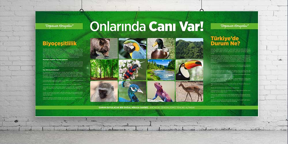 Onların da Canı Var Posteri - Biyoçeşitlilik ve Doğa Koruma Duvar Dekoru A-702