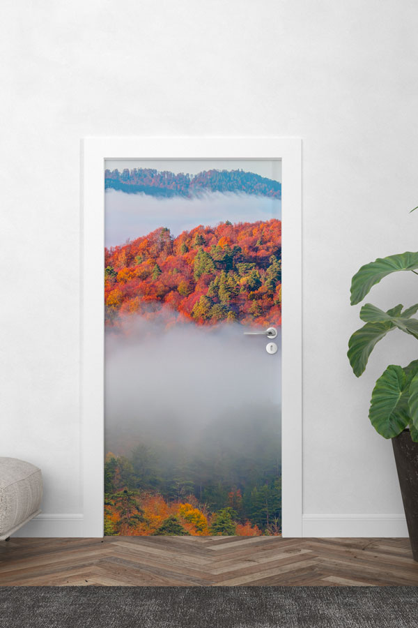 Türkiye Fotoğrafları - Kapı Tasarımı 9836