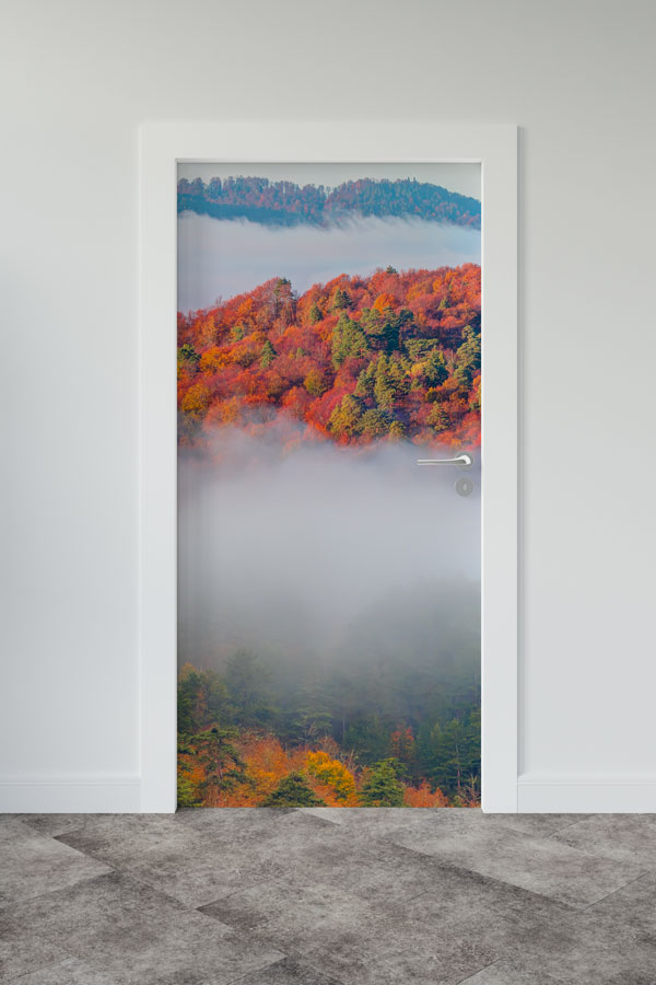 okul,sınıf,kapı,giydirme Türkiye Fotoğrafları - Kapı Tasarımı 9836