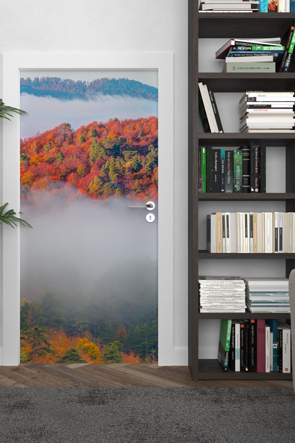 Türkiye Fotoğrafları - Kapı Tasarımı 9836