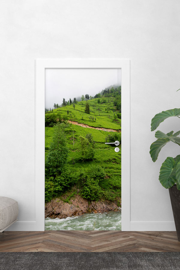 Türkiye Fotoğrafları - Kapı Tasarımı 9823