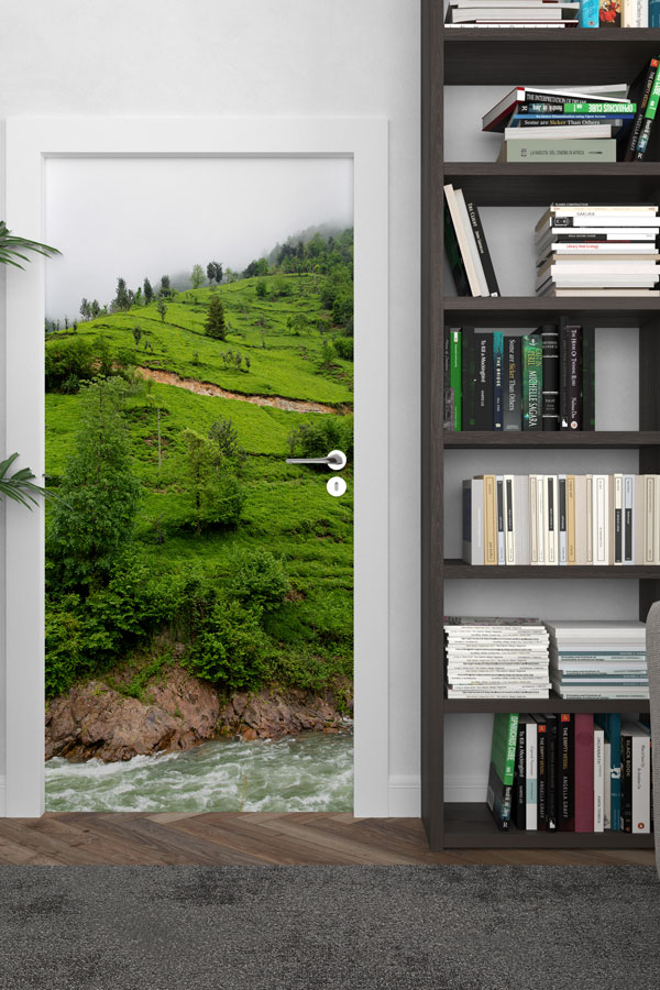 Türkiye Fotoğrafları - Kapı Tasarımı 9823