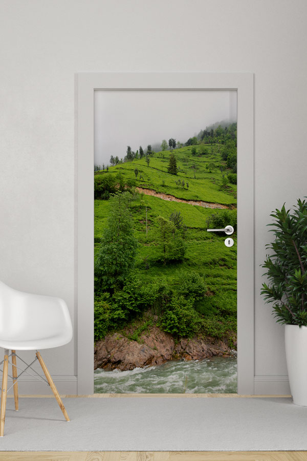 Türkiye Fotoğrafları - Kapı Tasarımı 9823