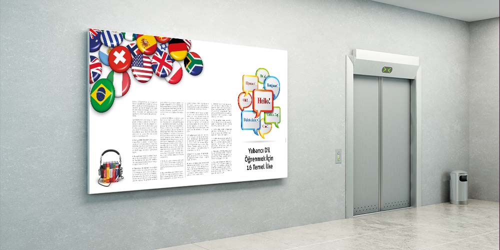 okul-panolari-3021-02 Yabancı Dil Öğrenmek İçin 16 Temel İlke Eğitim Posteri 3021