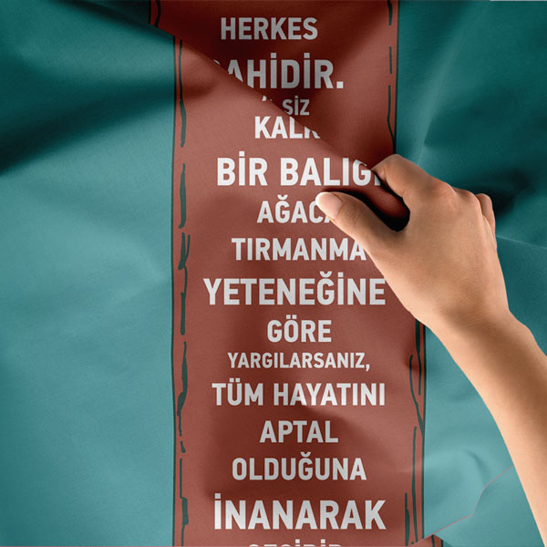 Okul Duvar Örtüsü: Albert Einstein Sözü 8463