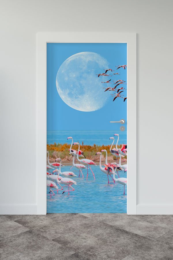 okul,sınıf,kapı,giydirme Türkiye Fotoğrafları - Kapı Tasarımı 9743