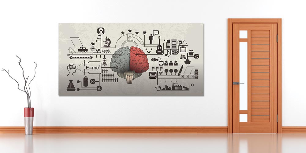 Okul Duvar Dekoru: Sağ ve Sol Beyin Fonksiyonları A-818