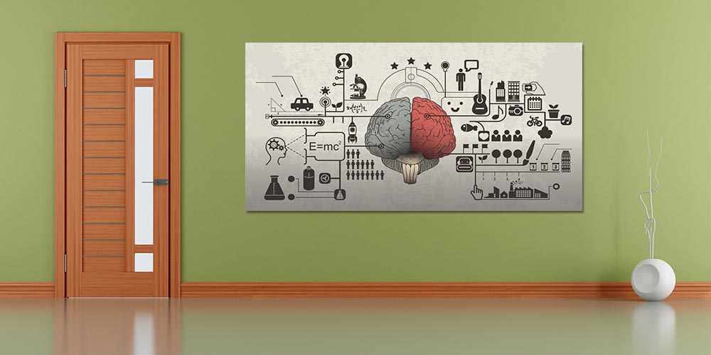 Okul Duvar Dekoru: Sağ ve Sol Beyin Fonksiyonları A-818