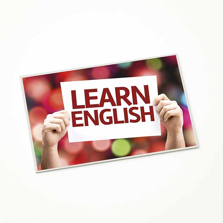 okul-suslemeleri-3208-04 Learn English Eğitim Posteri – 3208