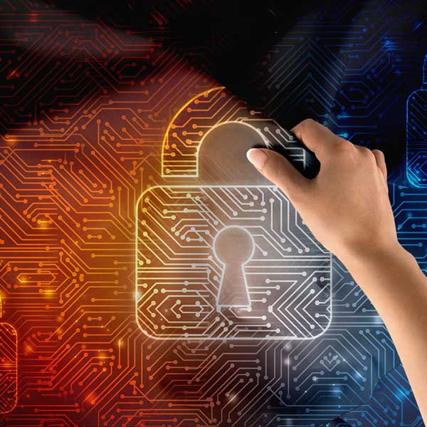 Polis Emniyet Kilit ve Dijital Devre Duvar Örtüsü 11110