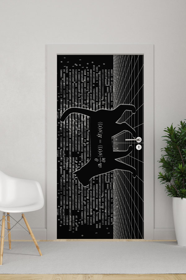 Schrödinger'in Kedisi Temalı Bilim Sınıfı Kapı Giydirme 8606