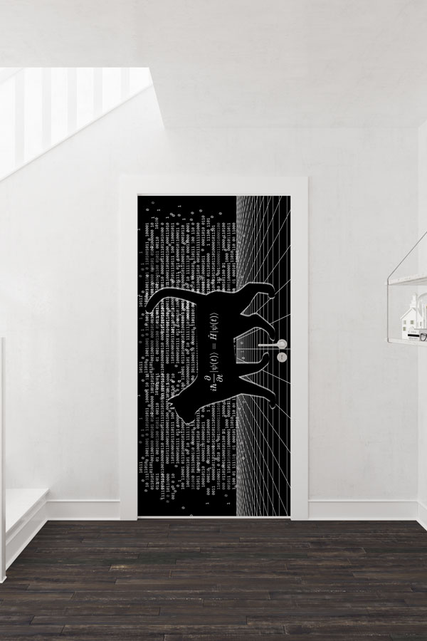 Schrödinger'in Kedisi Temalı Bilim Sınıfı Kapı Giydirme 8606