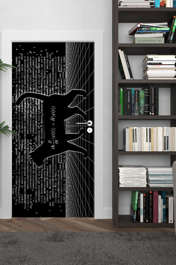 Schrödinger'in Kedisi Temalı Bilim Sınıfı Kapı Giydirme 8606