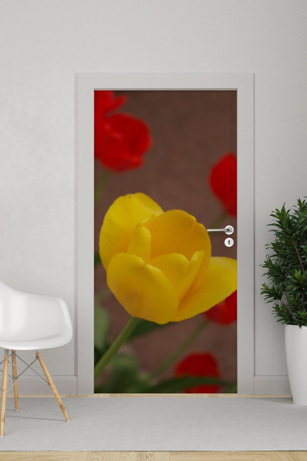 Çiçekli - Botanik Kapı Tasarımı 9337