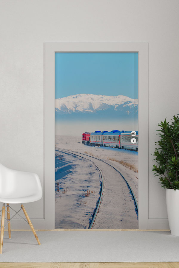 Türkiye Fotoğrafları - Kapı Tasarımı 9843