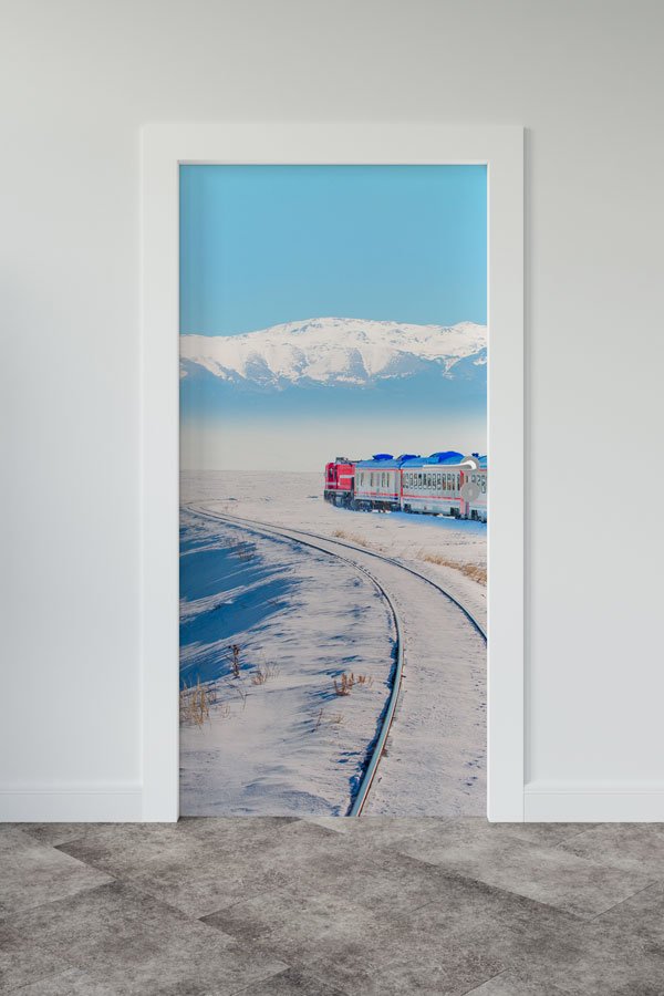 Türkiye Fotoğrafları - Kapı Tasarımı 9843