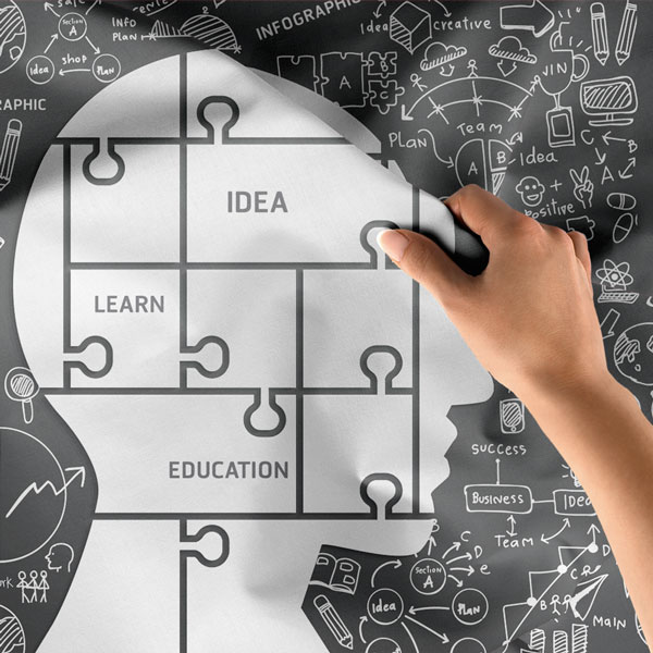 Zihin ve Fikir Haritası Temalı Eğitim Duvar Örtüsü 8342