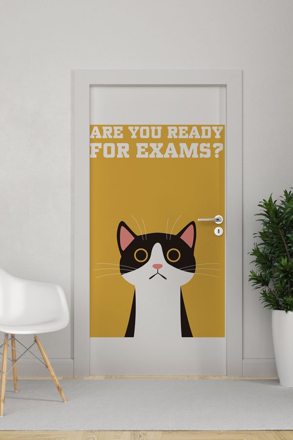 Sınav Hazırlığı Motivasyon Kapı Giydirmesi 8698