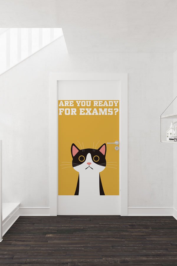 Sınav Hazırlığı Motivasyon Kapı Giydirmesi 8698