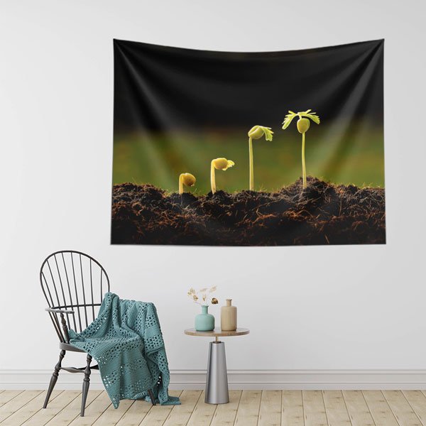 Bitki Büyüme Evreleri Duvar Örtüsü - Biyoloji & Doğa Bilimleri Temalı 8218