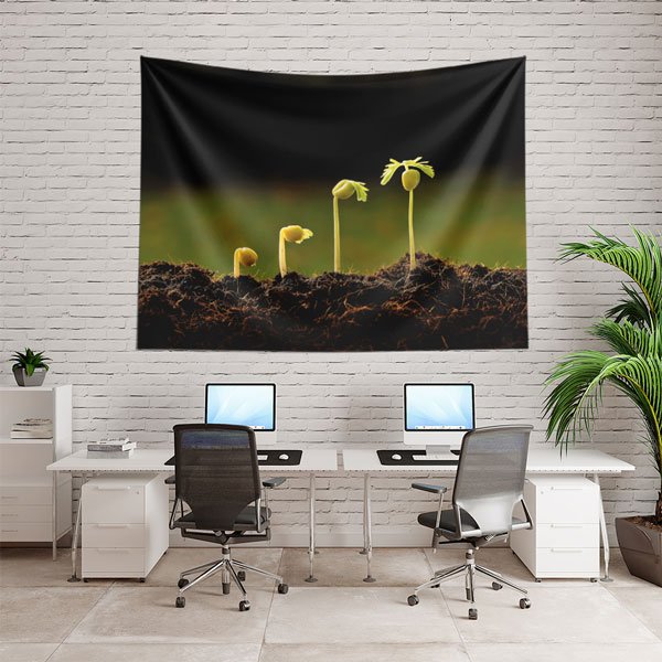 Bitki Büyüme Evreleri Duvar Örtüsü - Biyoloji & Doğa Bilimleri Temalı 8218