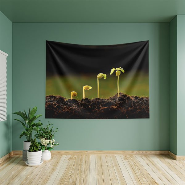 Bitki Büyüme Evreleri Duvar Örtüsü - Biyoloji & Doğa Bilimleri Temalı 8218