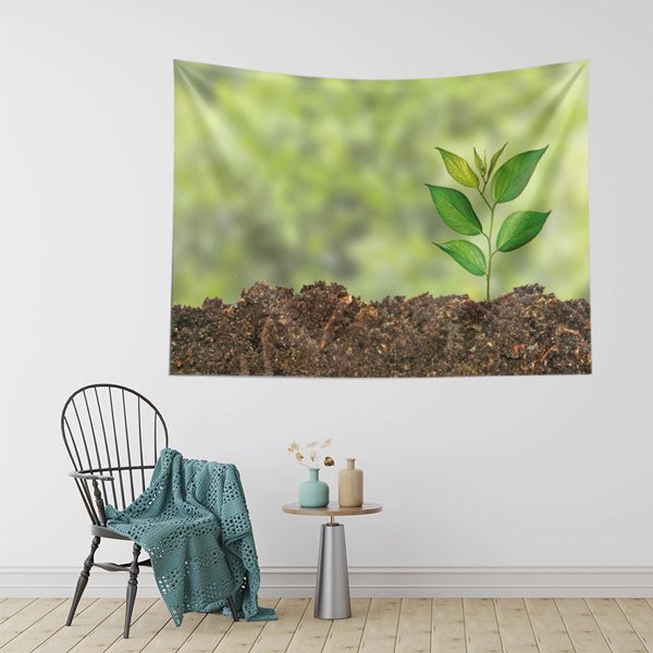 Topraktan Filizlenen Genç Bitki Duvar Örtüsü - Doğa ve Biyoloji Temalı 8219