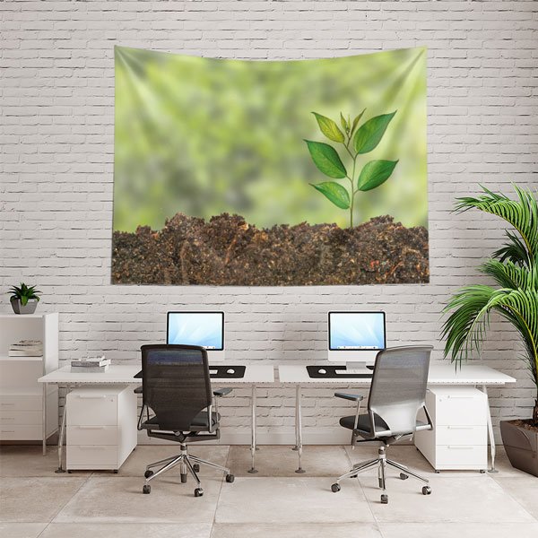 Topraktan Filizlenen Genç Bitki Duvar Örtüsü - Doğa ve Biyoloji Temalı 8219